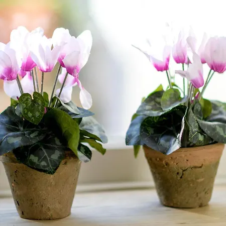 Appartement Duomo 16 View